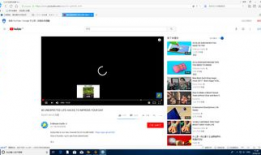 视频播放不了,视频播放故障排查指南